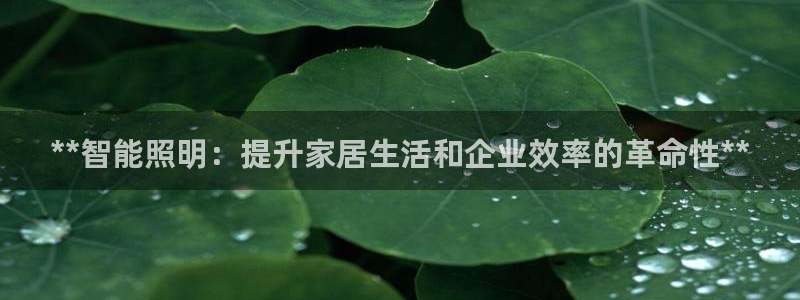 云顶国际app官方下载安装最新版