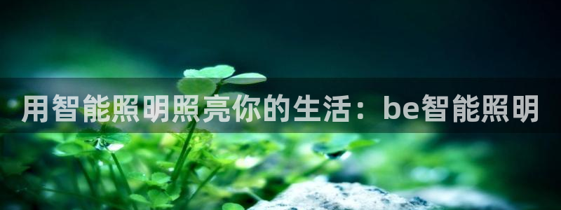 云顶集团董事长林东简历照片