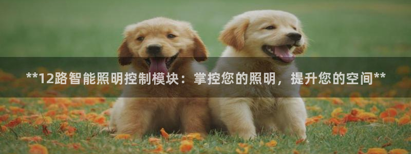 云顶国际app官方网站下载安装