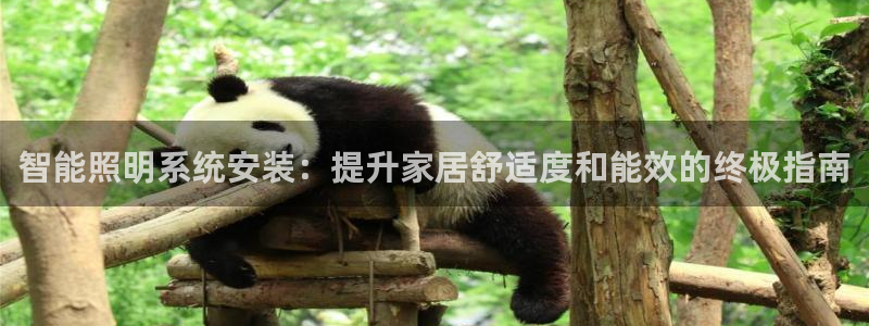 云顶国际区块链怎么样