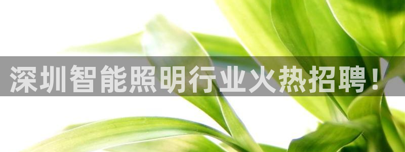 云顶国际黑网不出款了