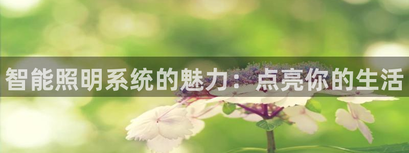 云顶国际在线购彩app