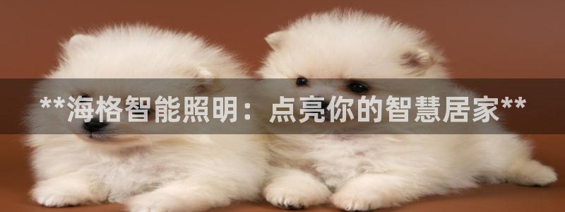 云顶线路快速检测中心