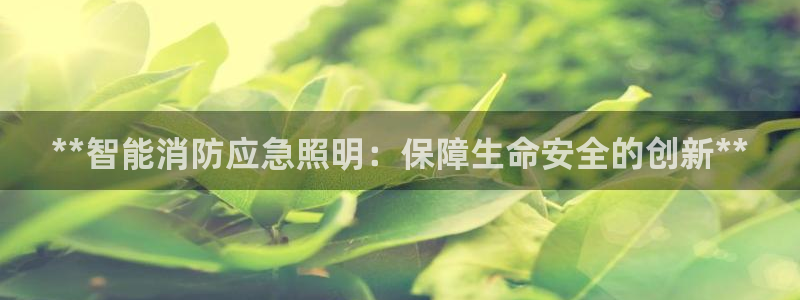 云顶集团网投领头