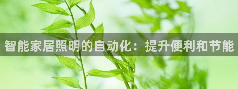 云顶国际集团游戏app
