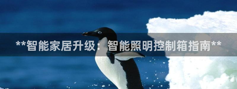 40081122云顶