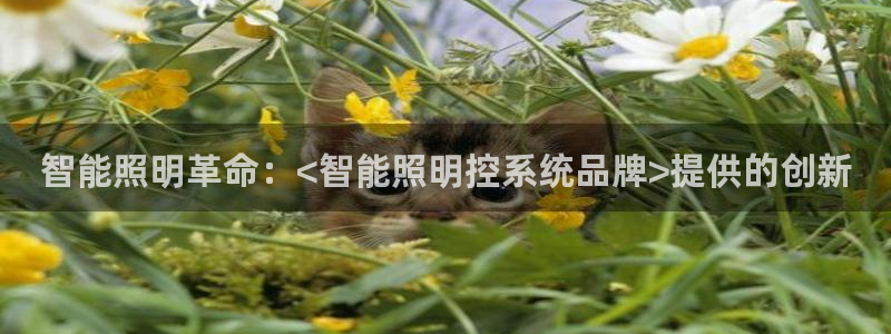 云顶国际的网址是多少啊