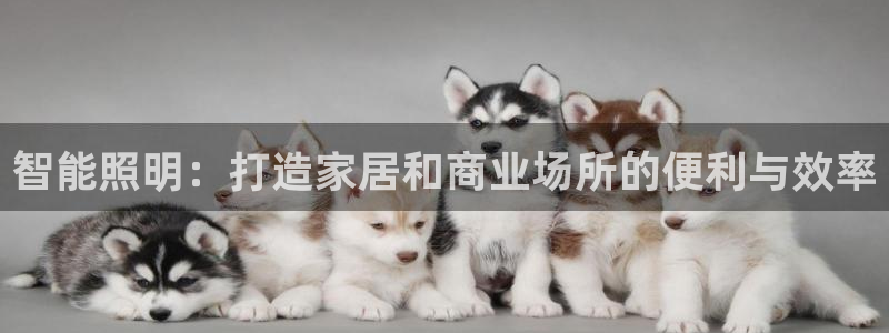 云顶国际提款不到账怎么办