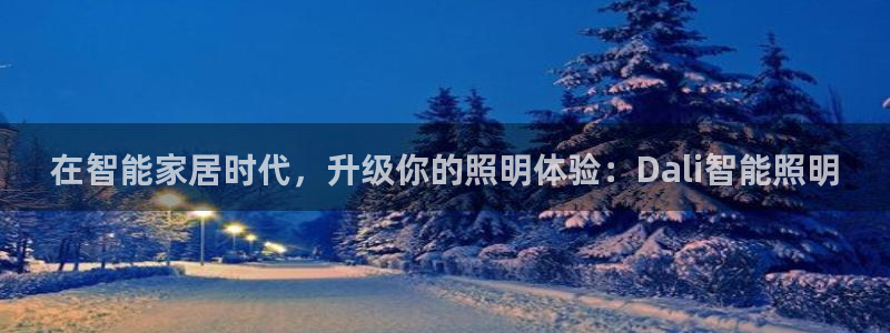 云顶国际是做什么的公司