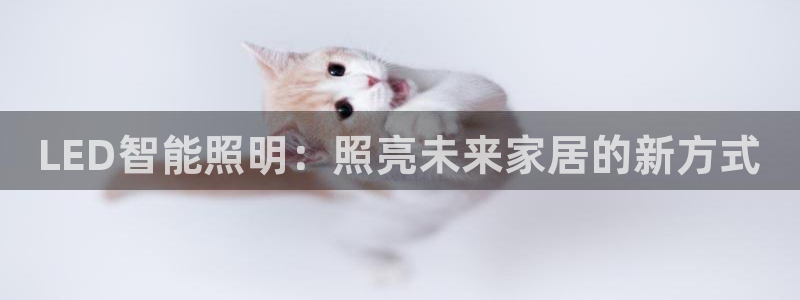 云顶集团3118