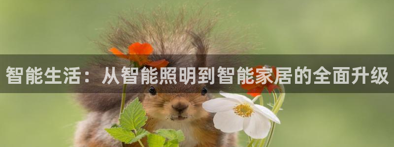 云顶集团网站安全吗知乎