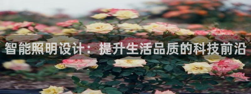 云顶国际集团