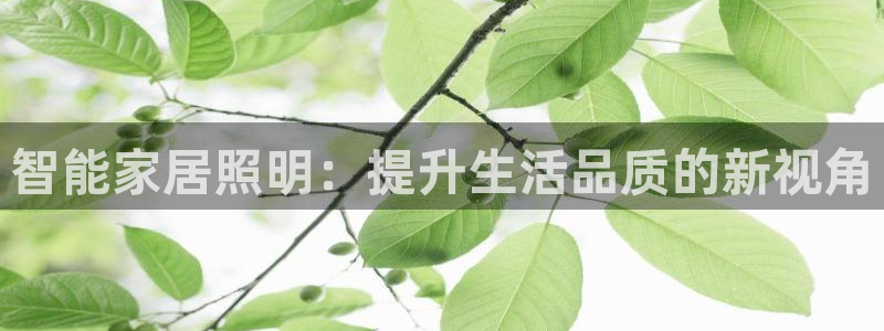 云顶国际太原