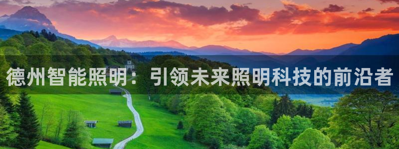 云顶国际城手机网址查询