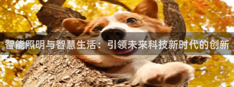 云顶国际公馆在哪