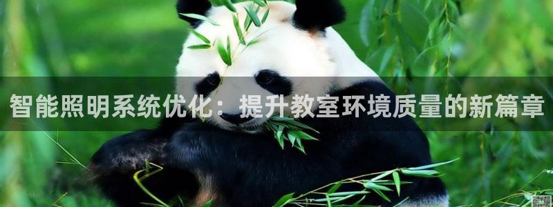 云顶集团有限公司简介