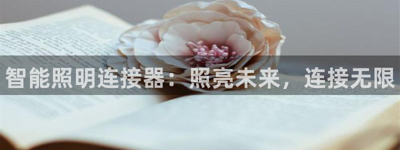 云顶国际nba今日推荐球员名单