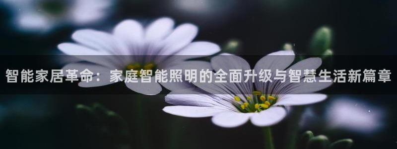 云顶国际yd333