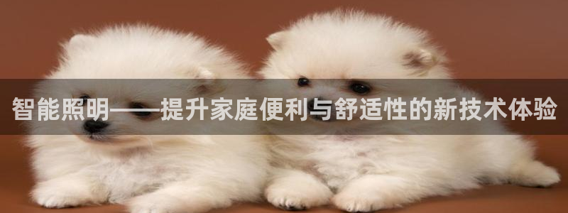 云顶国际旅行社