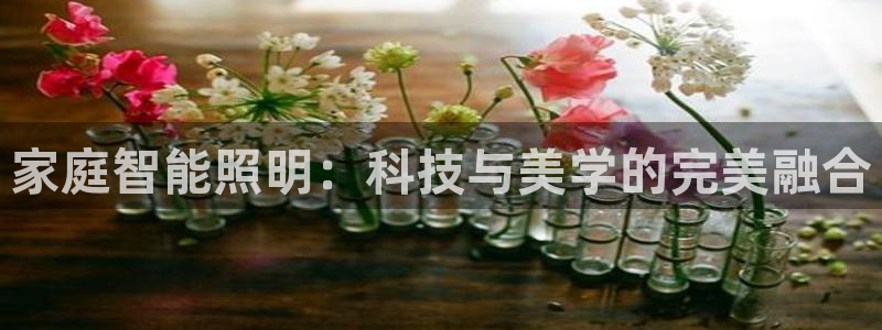 云顶国际黑不黑：家庭智能照明：科技与美学