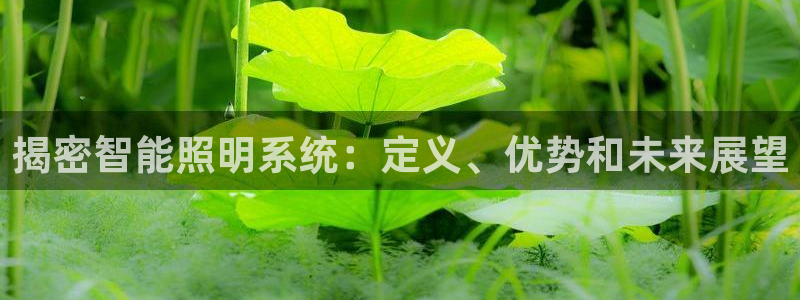 云顶国际黑网不出款了：揭密智能照明系统：
