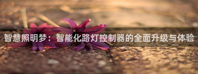 淮北云顶国际洗浴电话：智慧照明梦：智能化