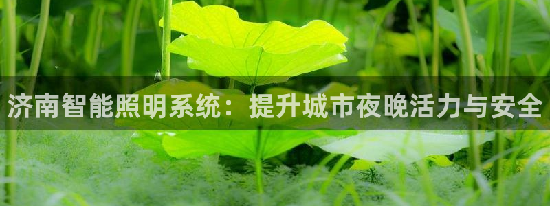 云顶网站是多少