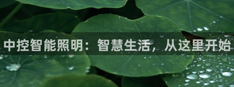 云顶国际官网下载安装