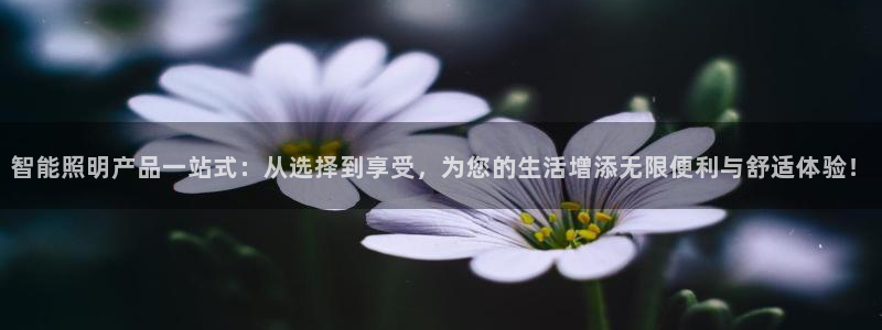 云顶国际滑雪场