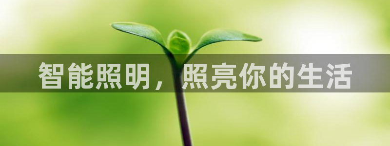云顶集团游戏网站