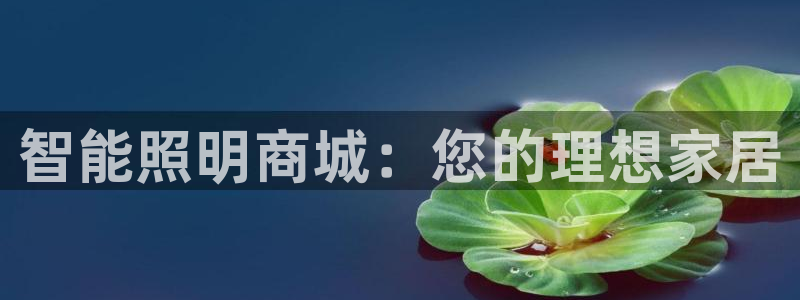 云顶国际能提现吗